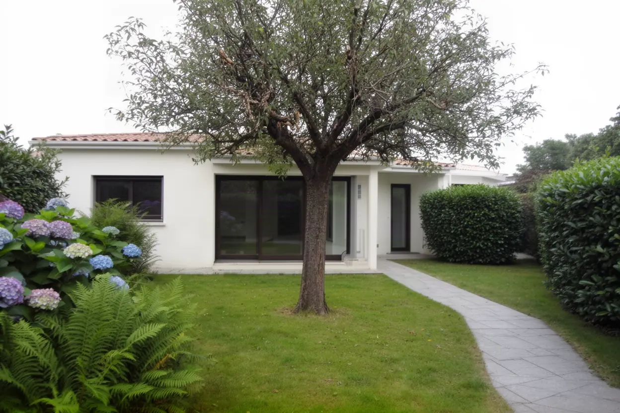 Arbre dépérissant dans un jardin à Puilboreau