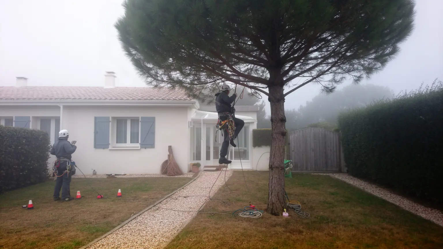 Élagueur professionnel à Angoulins et alentours
