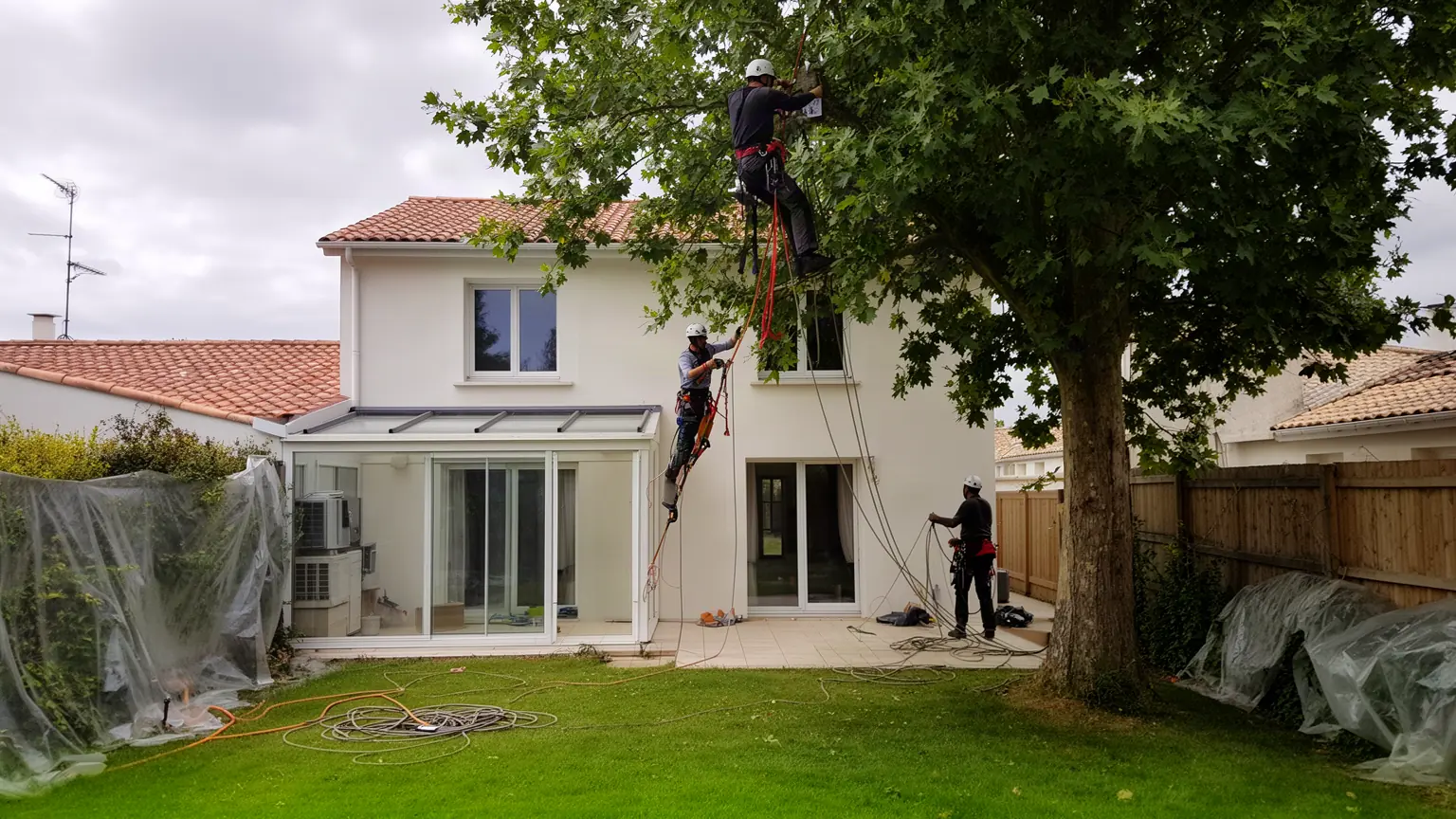 Élagueur professionnel à Puilboreau et alentours